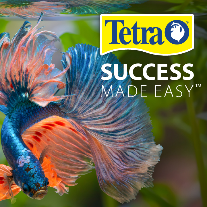 Goldfish LED Kit 20 gal Tetra